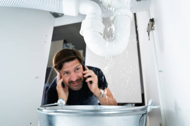 Best Sprinkler Systems  in Newton, NC